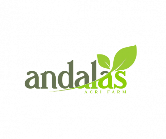 gallery/bestlogo_edited_-_testing-removebg-preview